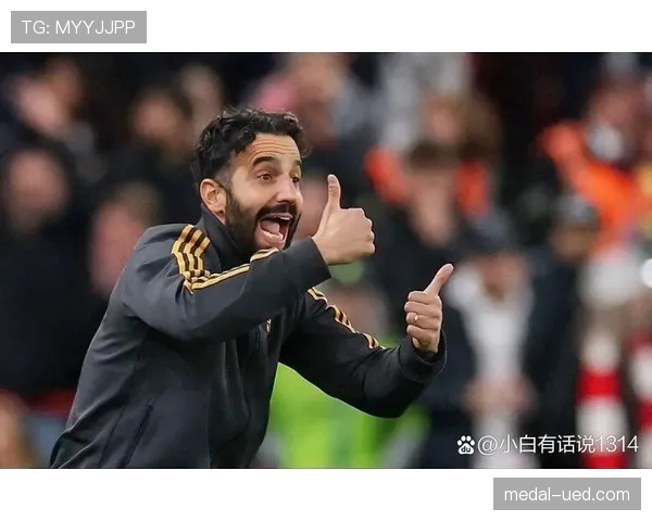 B费被高估了吗？从数据表现到战术适配的深度解析